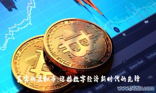 真实的虚拟币:迎接数字经济新时代的先锋